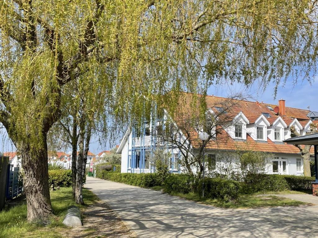Fewo 27 Strandnahe Ferienwohnung Marlyn 奥斯特巴德里克 外观 照片